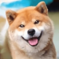 秋田犬模拟器最新版