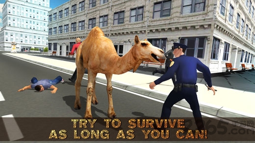 骆驼攻击模拟3d游戏